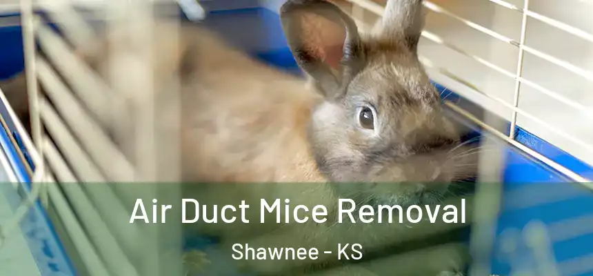  Air Duct Mice Removal Shawnee - KS