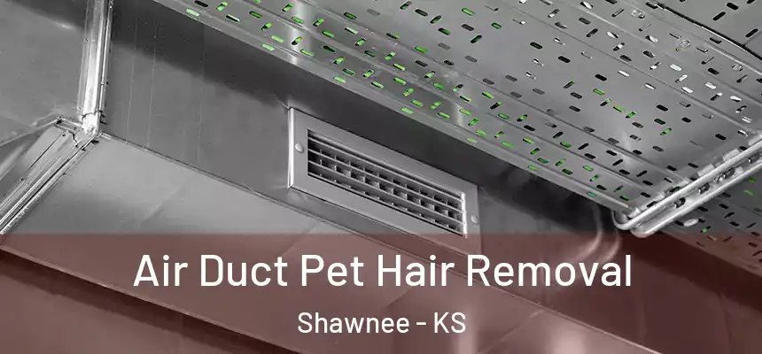  Air Duct Pet Hair Removal Shawnee - KS