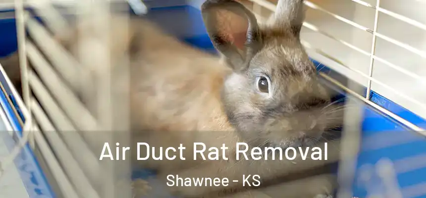  Air Duct Rat Removal Shawnee - KS