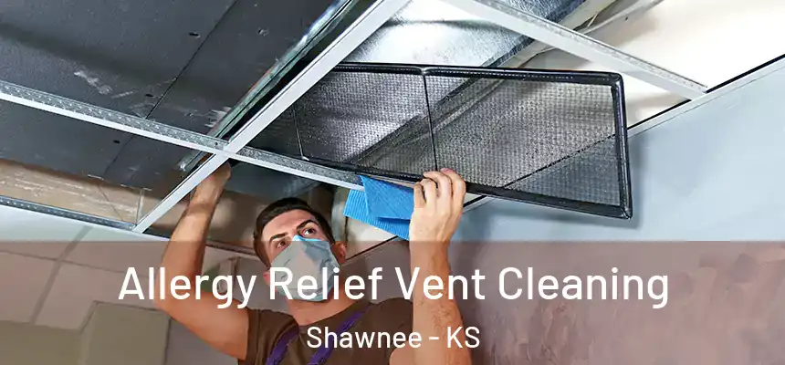 Allergy Relief Vent Cleaning Shawnee - KS
