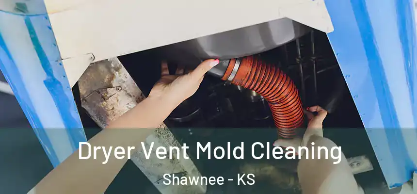 Dryer Vent Mold Cleaning Shawnee - KS