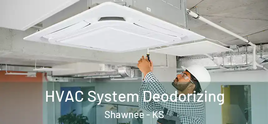 HVAC System Deodorizing Shawnee - KS