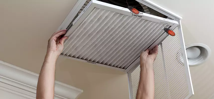 Preventive Cockroach-Proofing for Ducts in Shawnee