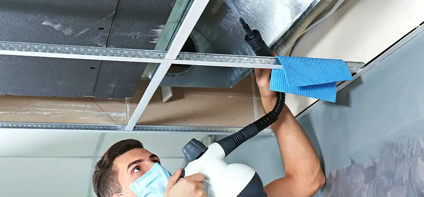 Our Air Duct Rodent Removal Services in Shawnee, KS