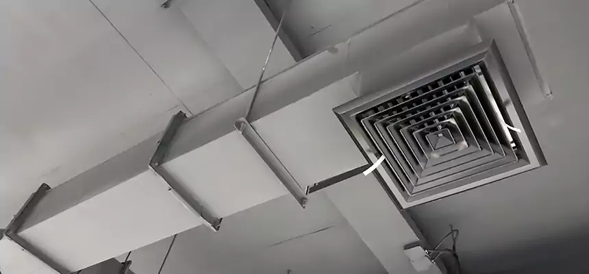 Our Rodent Droppings In Vents Services in Shawnee, KS