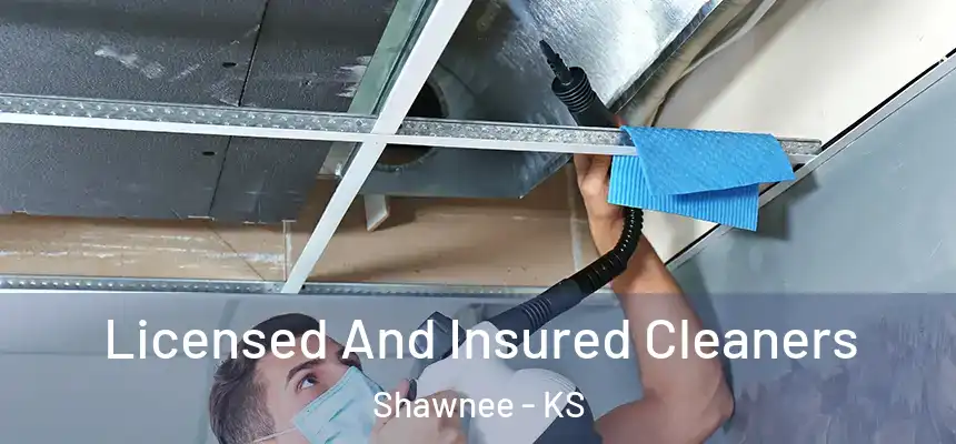 Licensed And Insured Cleaners Shawnee - KS