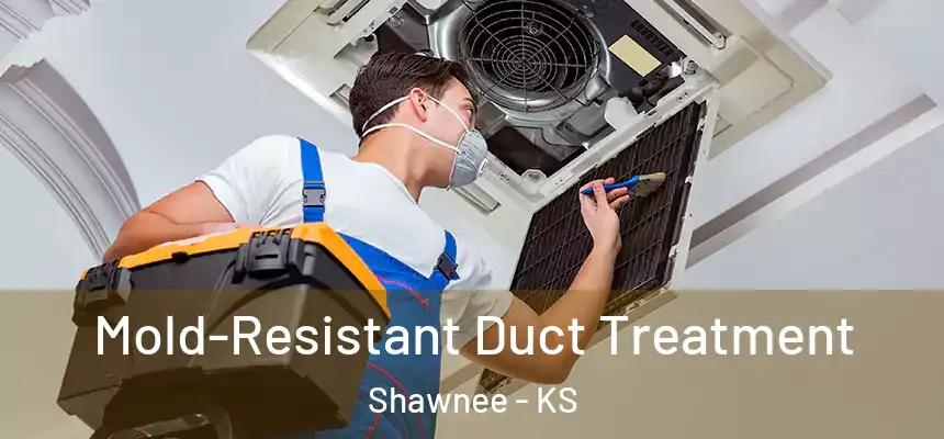  Mold-Resistant Duct Treatment Shawnee - KS