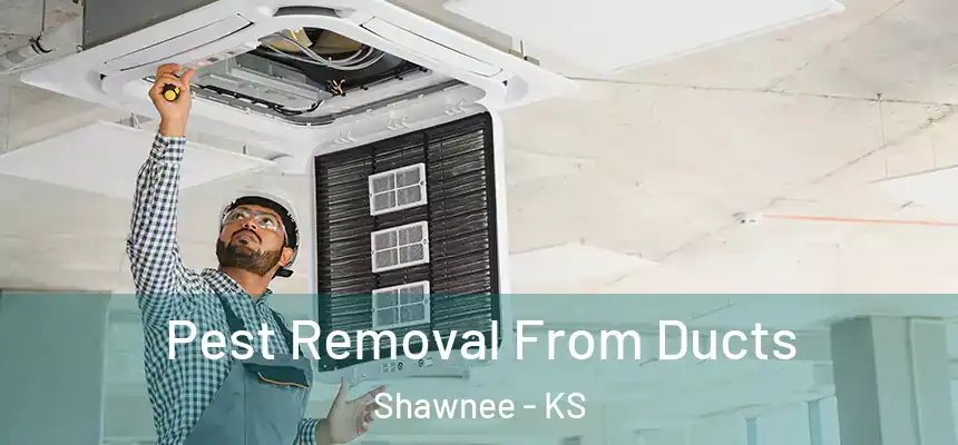 Pest Removal From Ducts Shawnee - KS