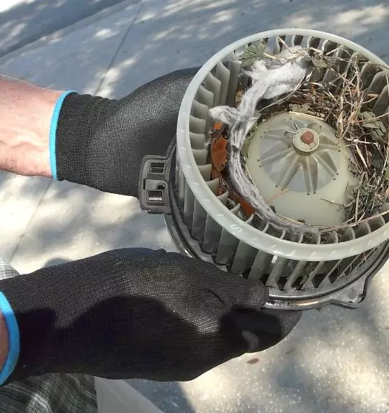 About Air Duct Mice Removal in Shawnee, KS